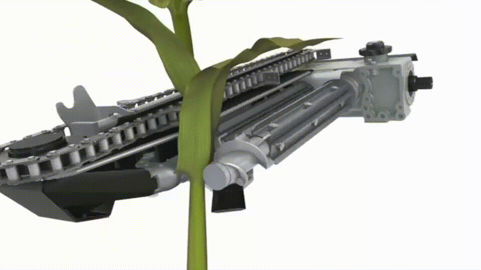 Жатка для уборки кукурузы